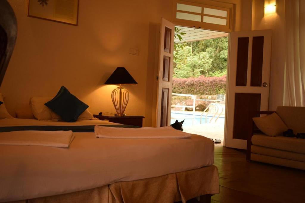 Forest Edge Hotel Ginigathena エクステリア 写真